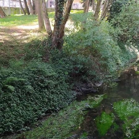 Moderno Y Luminoso 2 Dormitorios Con Todas Las Comodidades En Pontevedra Ciudad Bagian luar foto